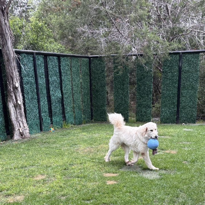 Chloe